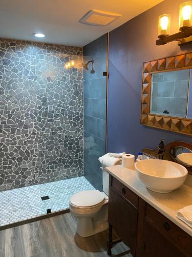 een badkamer met een douche, een toilet en een wastafel bij Phantom History House Castle Room in Tampa