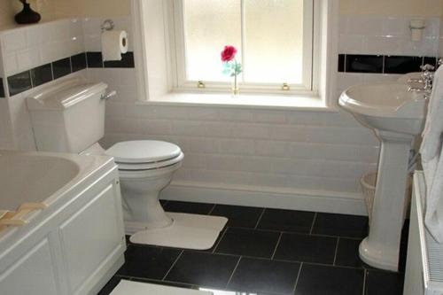a bathroom with a toilet and a sink and a window at Briar Cottage in Wark