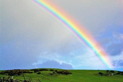 a rainbow in the sky over a green field at Briar Cottage in Wark