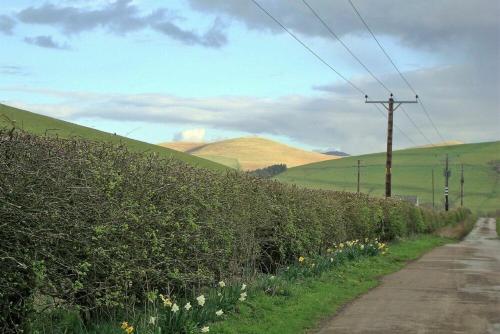a dirt road next to a hedge with mountains in the background at Briar Cottage in Wark