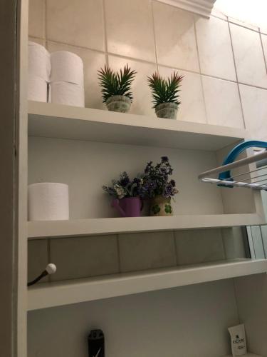 un estante con plantas en el baño en Apartamento aconchegate no centro de Gramado., en Gramado