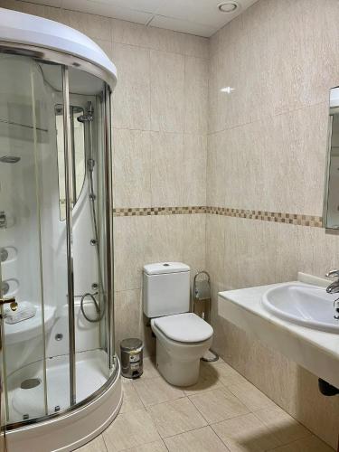a bathroom with a toilet and a shower and a sink at María Cristina 2 in Córdoba