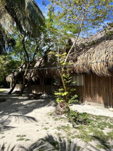 a hut with a thatched roof and a tree at Mistica Island Hostel - Isla Palma in Isla Palma