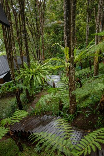 a garden with lush green plants and a wooden walkway at Cliffside Bamboo Treehouse with Heated Pool and View in Bungbungan