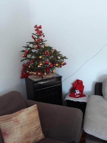 Un lugar para sentarse en House in forest