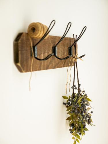 a pair of glasses and a plant on a wall at Luxurious Waterfront home in the North of Hobart in Hobart