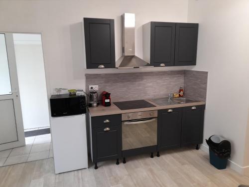 une cuisine avec un évier et un réfrigérateur dans l'établissement LE WANDA JAUNE, à Reims