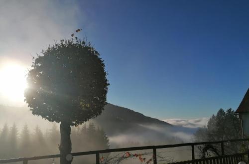 a tree in front of a fence with the sun at Apartment Schloffer in Weiz