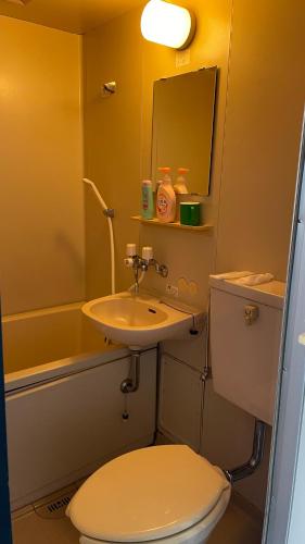 a bathroom with a toilet and a sink and a mirror at はらビジネス旅館 in Wakayama