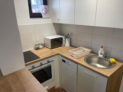 Kuchyň nebo kuchyňský kout v ubytování Desetka Kopaonik