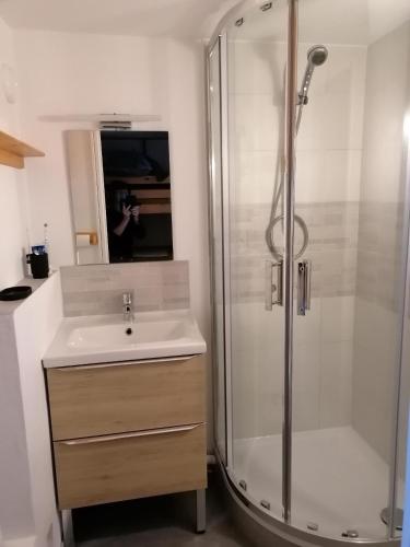 une salle de bain avec une douche, un lavabo et un miroir dans l'établissement Studio Montagne à la Pierre St Martin, à Arette