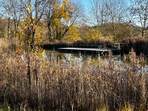 a small dock in the middle of a pond at Ferienwohnung I Beck-Bräu nahe Bamberg in Lisberg