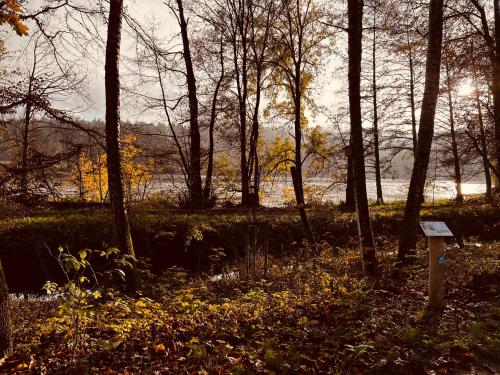 a park with trees and a body of water at Ferienwohnung I Beck-Bräu nahe Bamberg in Lisberg