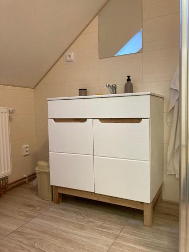 een badkamer met een witte wastafel in een kamer bij Apartmán v Anenském údolí in Moravská Třebová