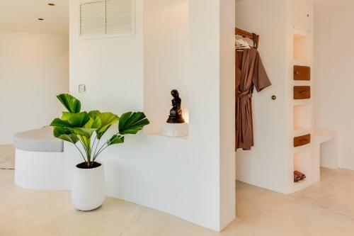 a white room with a plant in a vase at Ampersand Resort in Bophut 