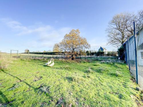 a goose sitting in a field next to a fence at Au regard des biches in Sovet