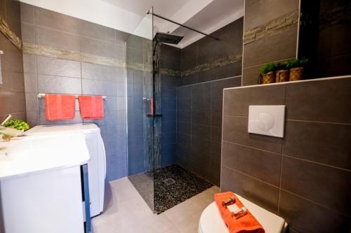 une salle de bain avec une douche, des toilettes et un lavabo dans l'établissement SUEDE 4 AP4210 By Riviera Holiday Homes, à Nice