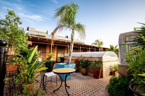 a patio with a table and a palm tree at Riad le petit ksar in Meknès