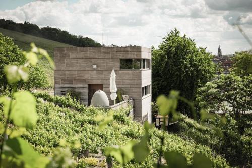 Taman di luar Gästehaus im Weingut am Stein