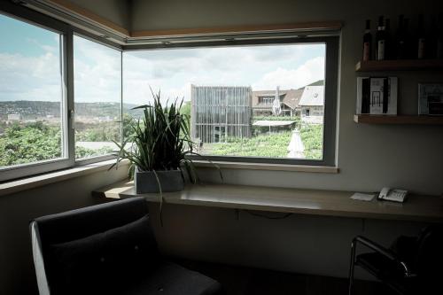 Zimmer mit einem Fenster mit einer Pflanze auf einem Schreibtisch in der Unterkunft Gästehaus im Weingut am Stein in Würzburg
