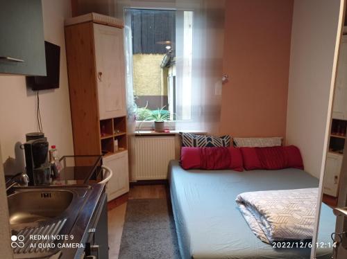 Cette petite chambre comprend un lit et un lavabo. dans l'établissement Rince, à Lahr/Schwarzwald