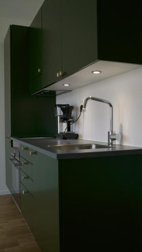 a kitchen with green cabinets and a sink at Studio Living in Karlskrona