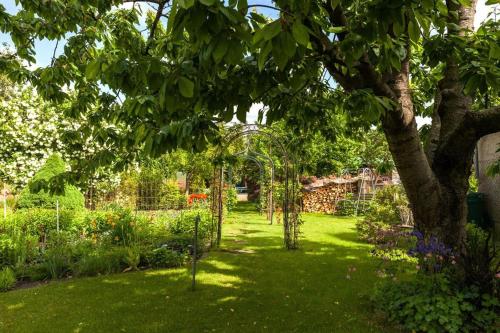 un jardín con un montón de árboles y flores en Hafenhaus Kapitänsdeck, en Waren