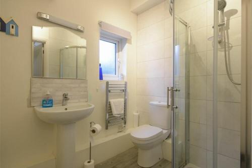 a bathroom with a toilet and a sink and a shower at The Snug in Embleton