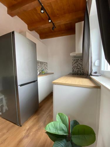 a kitchen with a stainless steel refrigerator and a plant at Kuća za odmor ASTREA in Zaton