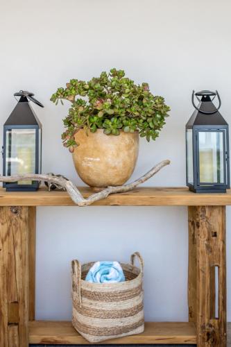 a plant in a pot on a shelf with two lights at Far Horizons Camps Bay in Cape Town