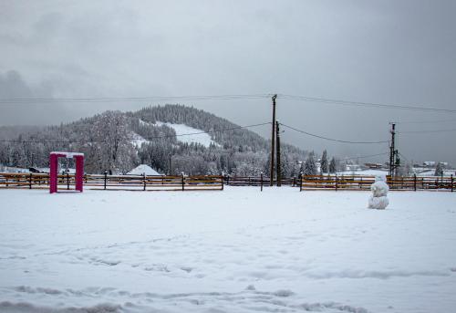 a snowman standing in a snow covered field with a fence at Chalet Deluț in Suceava