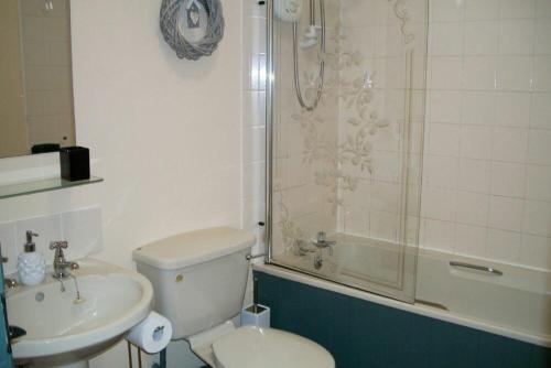 La salle de bains est pourvue de toilettes, d'un lavabo et d'une douche. dans l'établissement Swallow Cottage nr Powburn, à Ingram