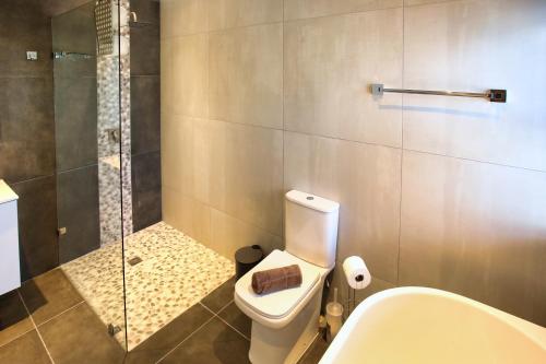 W łazience znajduje się toaleta, prysznic i umywalka. w obiekcie Dalton's Langebaan w mieście Langebaan