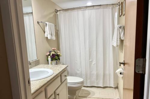 a bathroom with a sink and a toilet and a shower at Newly Listed! 20 Percent Off! Golf and Tennis Community Retreat in Wesley Chapel