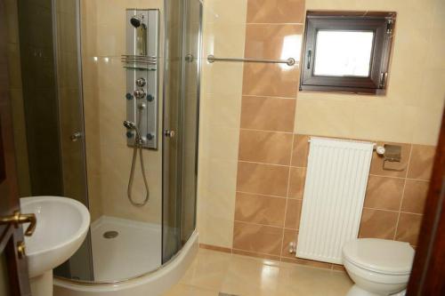 a bathroom with a shower and a toilet and a sink at Vila A&N in Braşov