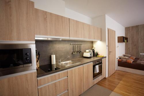 Cuisine ou kitchenette dans l'établissement Rezidence Šumava
