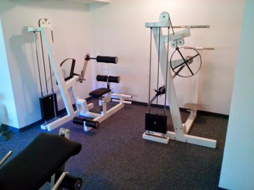 Fitness centrum a/nebo fitness zařízení v ubytování Wili Tatry Apartments