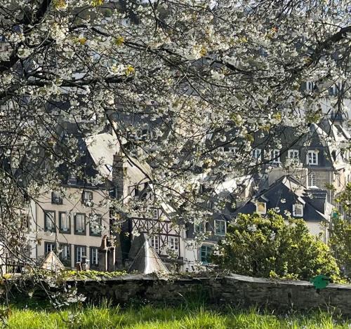 a large white house with trees in front of it at Cosy et jardin panoramique in Morlaix