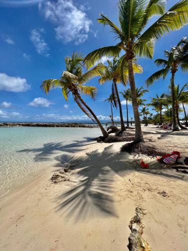 two palm trees on a sandy beach with the ocean at Ti kaz COCO DOUCEUW sea view in Sainte-Anne