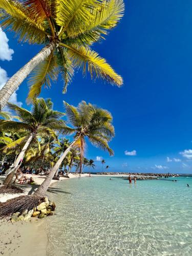 a beach with palm trees and people in the water at Ti kaz COCO DOUCEUW sea view in Sainte-Anne