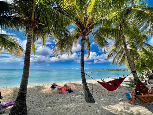 two palm trees and a hammock on a beach at Ti kaz COCO DOUCEUW sea view in Sainte-Anne