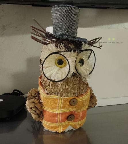 コパオニクにあるSova Kopaonikのギャラリーの写真