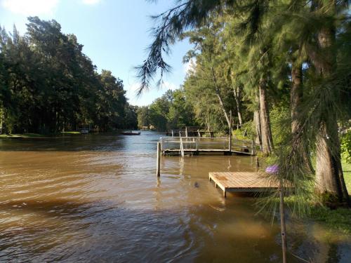 a wooden dock in the middle of a river at Cabañas ICh in Tigre