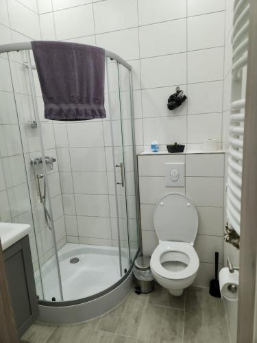 e bagno con doccia, servizi igienici e lavandino. di Klein & Fein Aurachtal a Neundorf