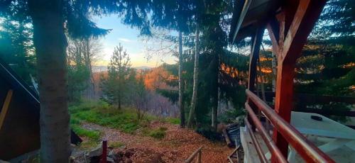 una vista su una foresta dal portico di una casa di Sova a Kopaonik