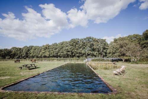 a pool of water with a picnic table and horses in a field at Ferme NeElke Pipowagens in Zoersel