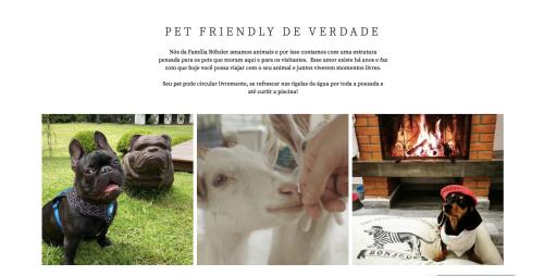 a collage of pictures of animals and a fireplace at Pousada Röhsler in Monte Verde