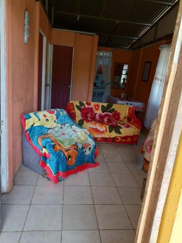 Finca la montaña – Photos 2