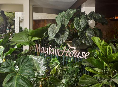 a bunch of plants with a sign in the middle at Mayfair House Hotel & Garden in Miami