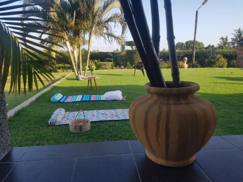 LAGOA LUNAR – Photos 5
